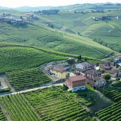 Roagna Barbera d'Alba 2020 100ml