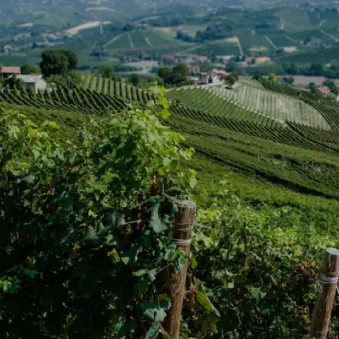Roberto Voerzio 'Il Cerreto' Barbera d'Alba 2021 750ml