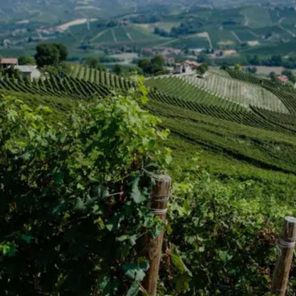 Roberto Voerzio 'Il Cerreto' Barbera d'Alba 2021 750ml