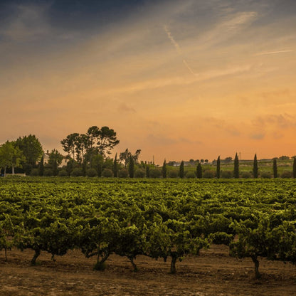 Familia Torres 'Milmanda' Chardonnay 2021 750ml