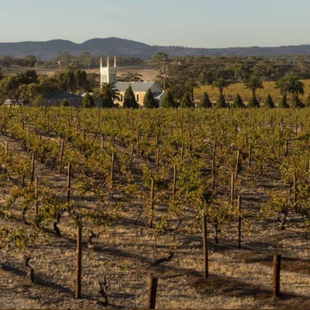 Torbreck 'The Gask' Shiraz 2021 750ml
