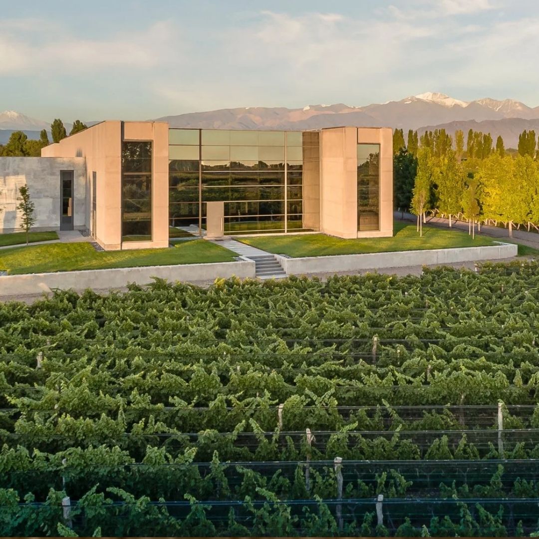 Viña Cobos 'Bramare' (Appellation Lujan de Cuyo)  Malbec 2022 (Case of 6 Bottles)