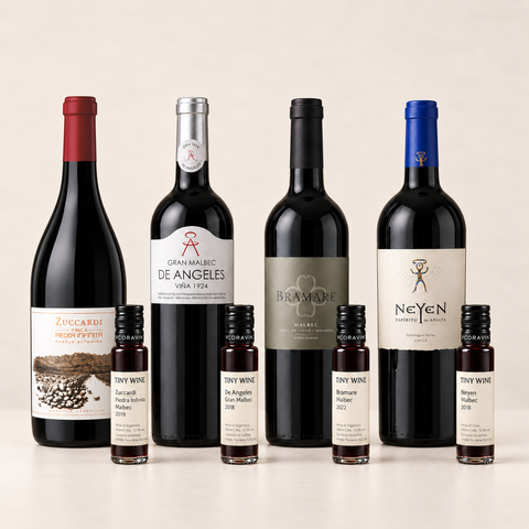 Malbec Masterclass