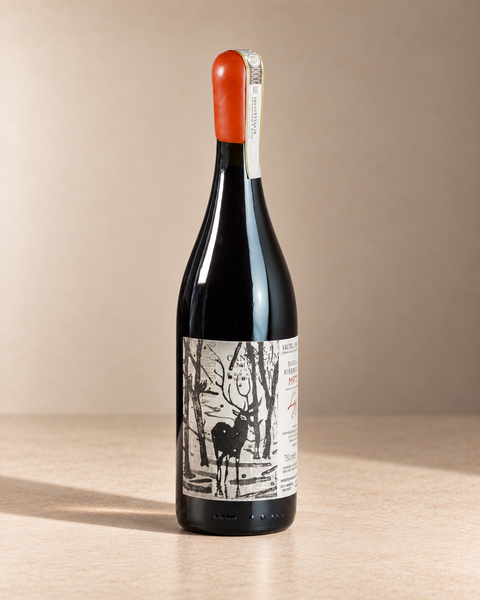 'MR72' Valtellina Superiore Sasella Riserva 2018 single wine bottle on a warm beige studio background